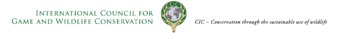 logo cic