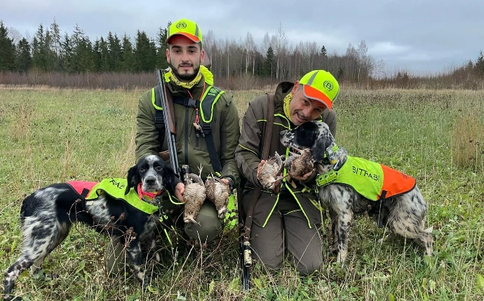 Chiens équipés d'accessoires Bitrabi