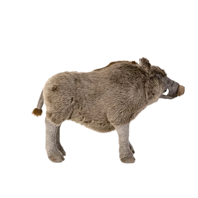 peluche sanglier