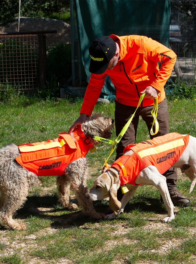 Traqueur et chiens de chasse