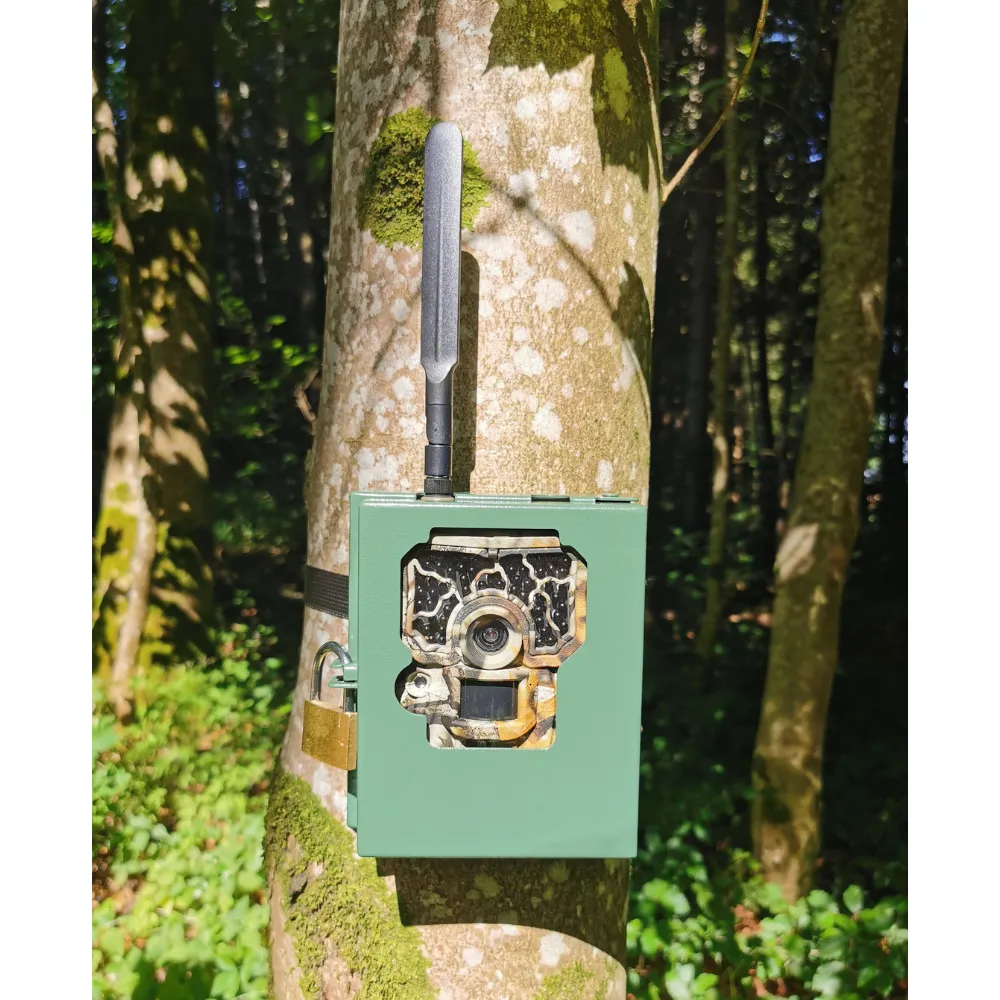 boitier-metal-camera-chasse-rm4eco-arbre.webp