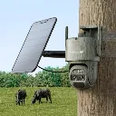 cam animaux.webp