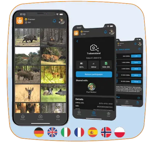 app.webp