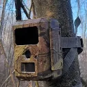easy cam tree.webp