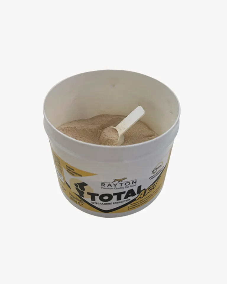 total-art-2-768x960.webp