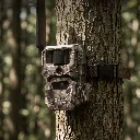 HIKMICRO_Trail-Camera_T16_Smart_PC_01.1.webp