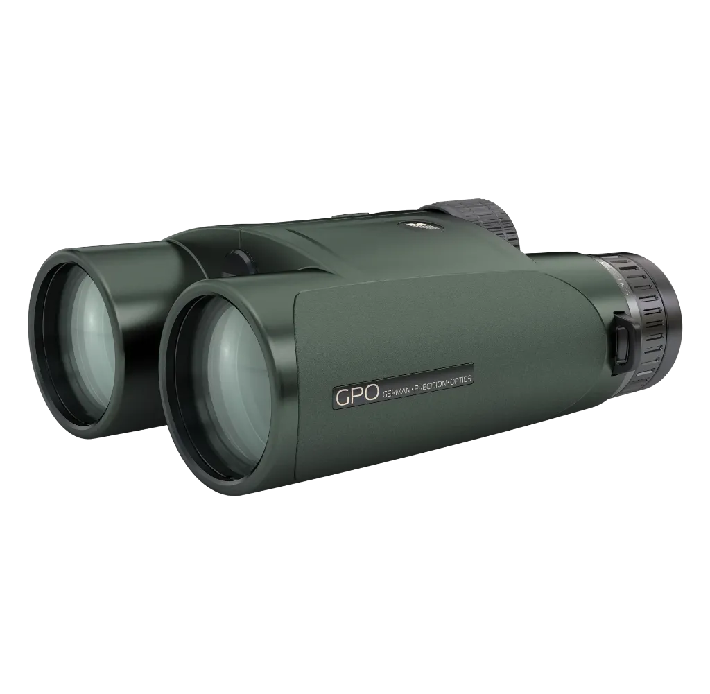 Randeguide 3400 10x50 - 2.webp
