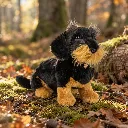 teckel foret.webp