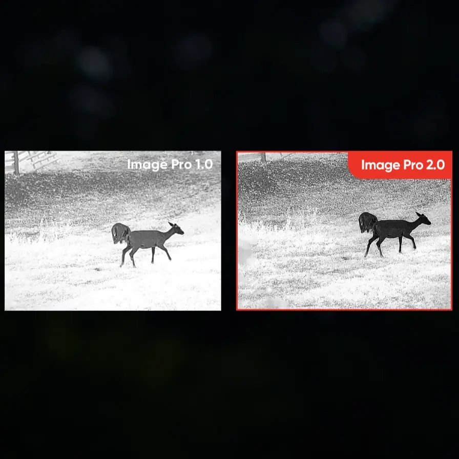 FALCON Image Pro.webp