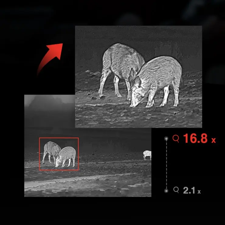 FALCON Powerful digital zoom.webp