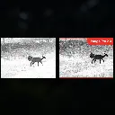 FALCON Image Pro.webp