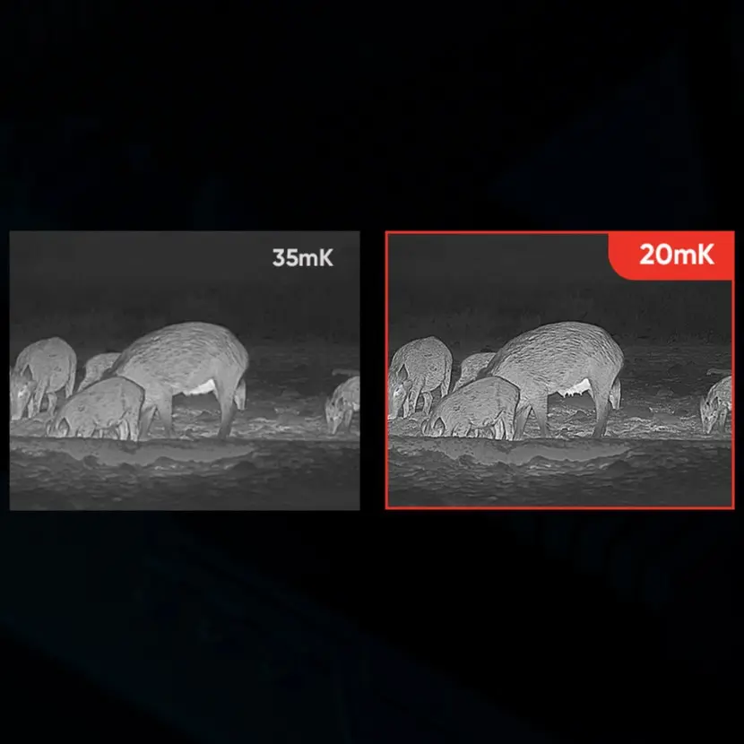 FALCON High thermal sensitivity.webp