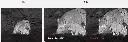 HABROK Zoom Pro Algorithm.webp