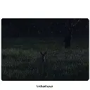 HABROK 4K Vivid Images at Twilight_2.webp