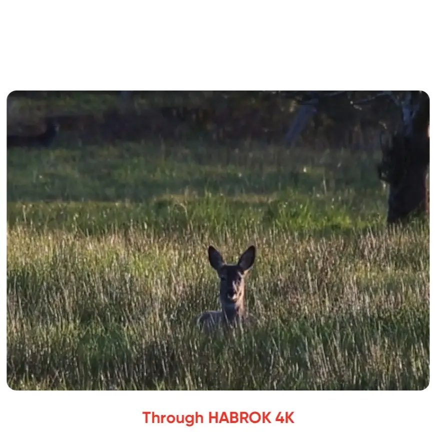 HABROK 4K Vivid Images at Twilight_2.2.webp