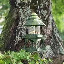 EVENA® Aqua Wild Bird Feeder and Waterer