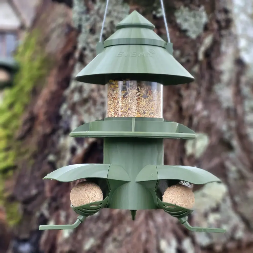 Outdoor Bird Feeder for Seed Balls