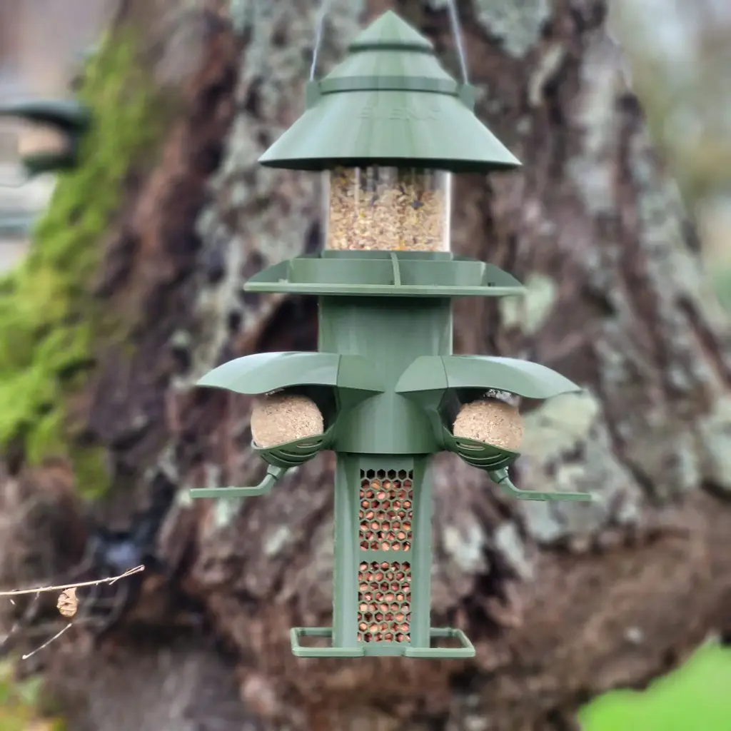 Mangeoire Extérieure pour Oiseaux Sauvages intégrale