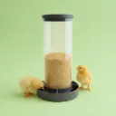 Evoluerende voederbak voor kuikens: anti-verspilling en robuust