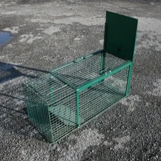 Kooi voor wasbeerval