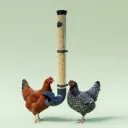 Mangeoire à volaille anti-gaspillage et anti-nuisibles pour poules