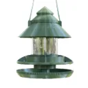 Céleste Évolution – Feeder for Exotic Birds