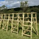 Hochwertiges Jagdfell aus Holz