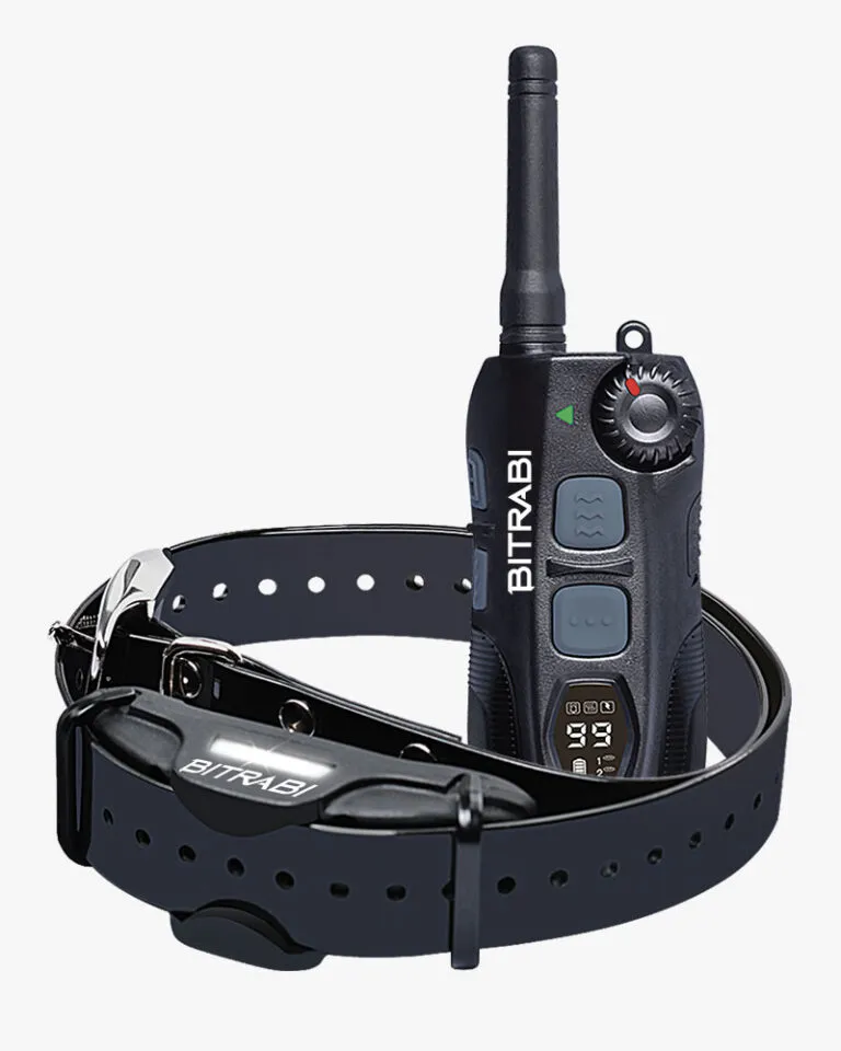 BITRABI Kit collier de dressage pour chien
