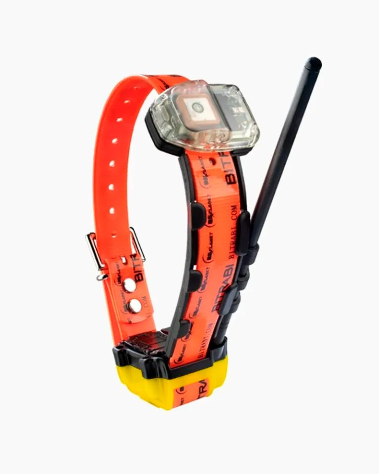 BITRABI MITO 5100: GPS satellite collar for hunting dogs (Yellow, No)