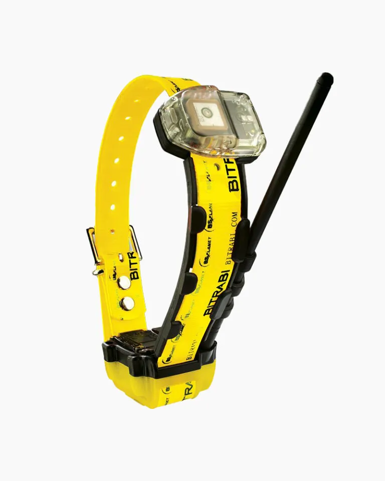 BITRABI MITO 5200 : GSM-Halsband für Jagdhunde