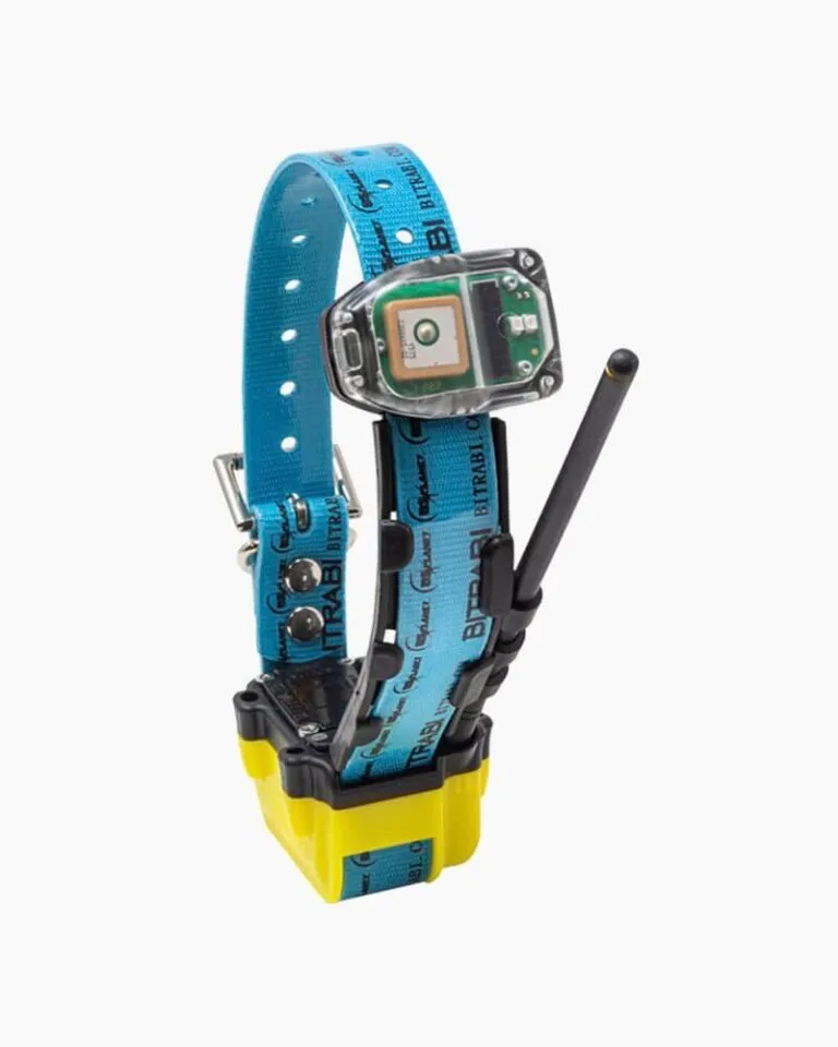 BITRABI MITO 5300 : GPS-halsband met radio en GSM voor jachthonden (Gell, Nee)