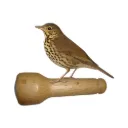 Appeau Les Zapos – Grive musicienne