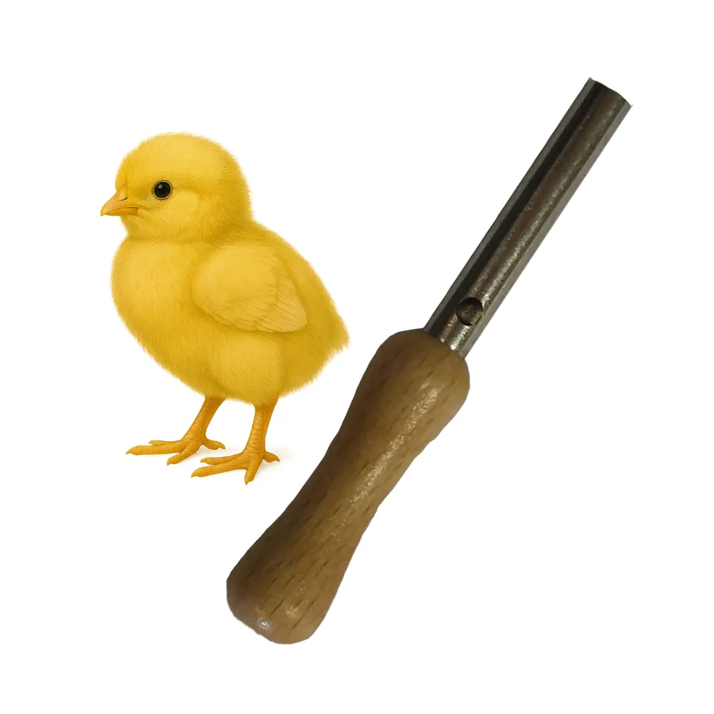 Lockruf Les Zapos – Küken