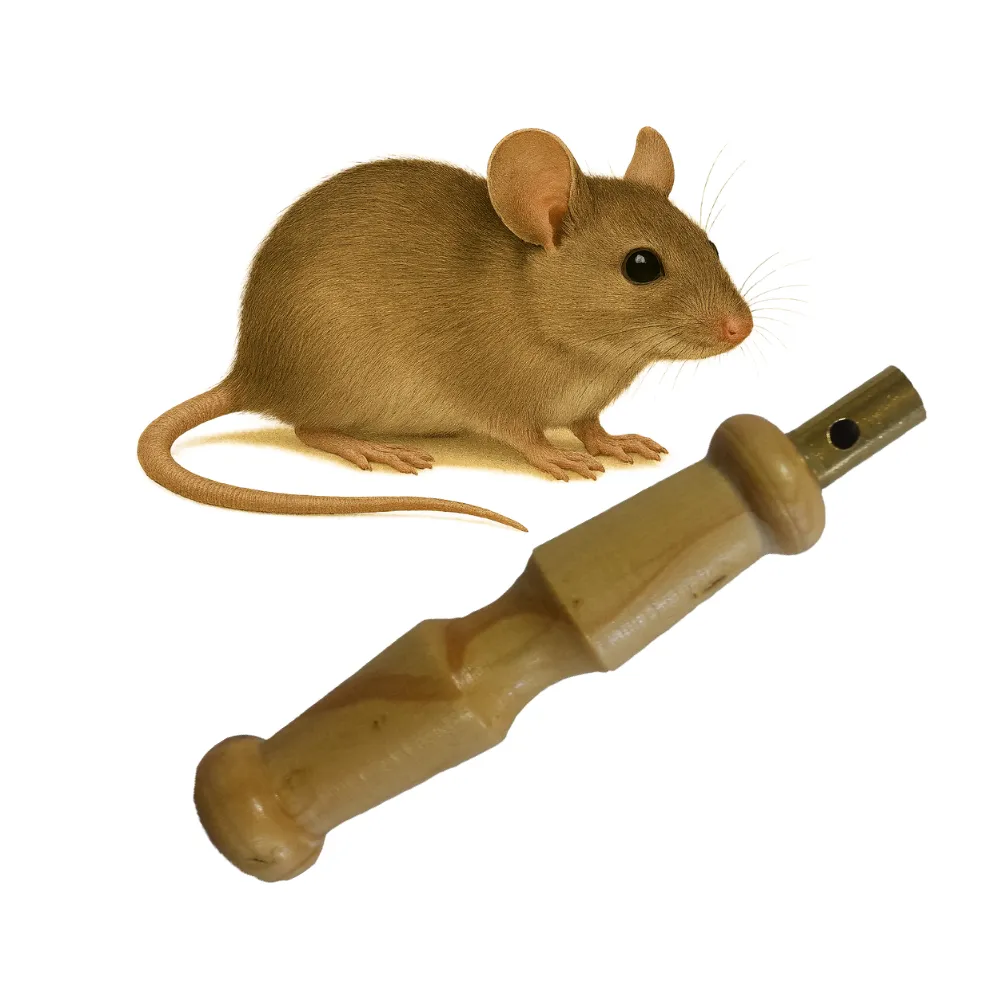 Lockruf Les Zapos – Maus