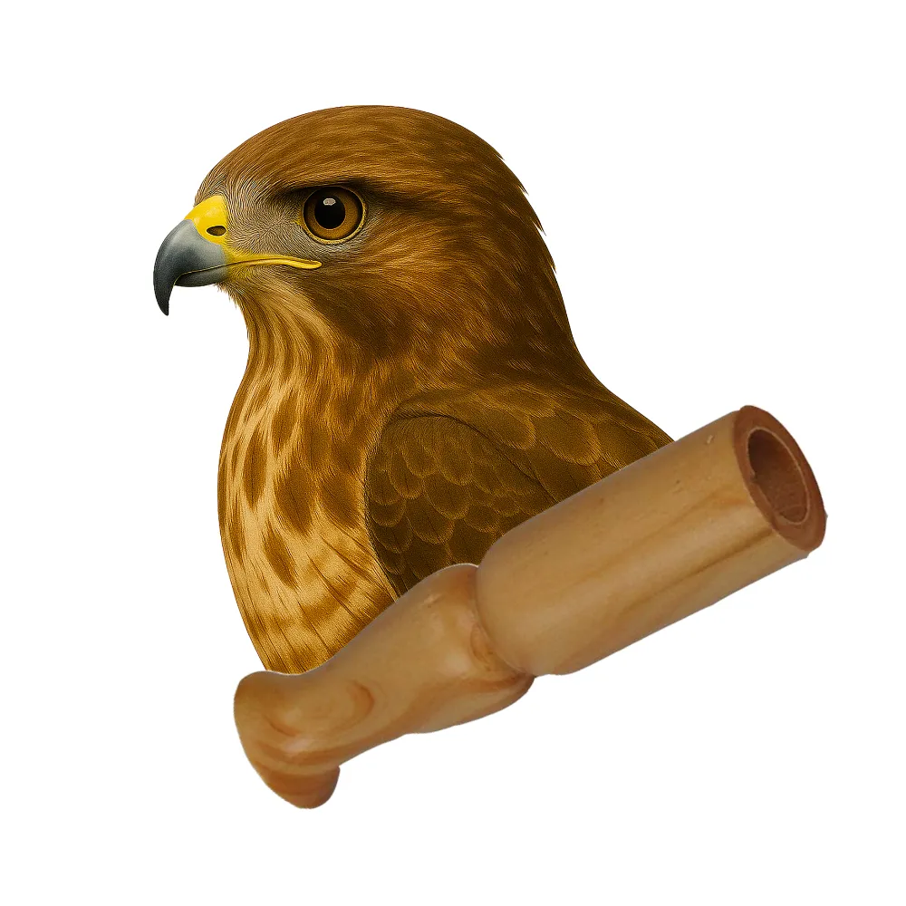 Lockruf Les Zapos – Mäusebussard