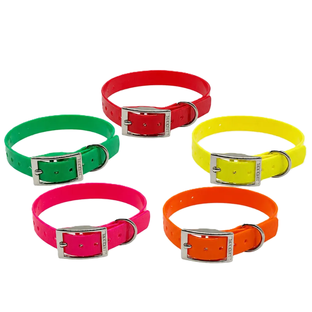 Collar HB-Dog Biogold® (Klassiker, Grün)