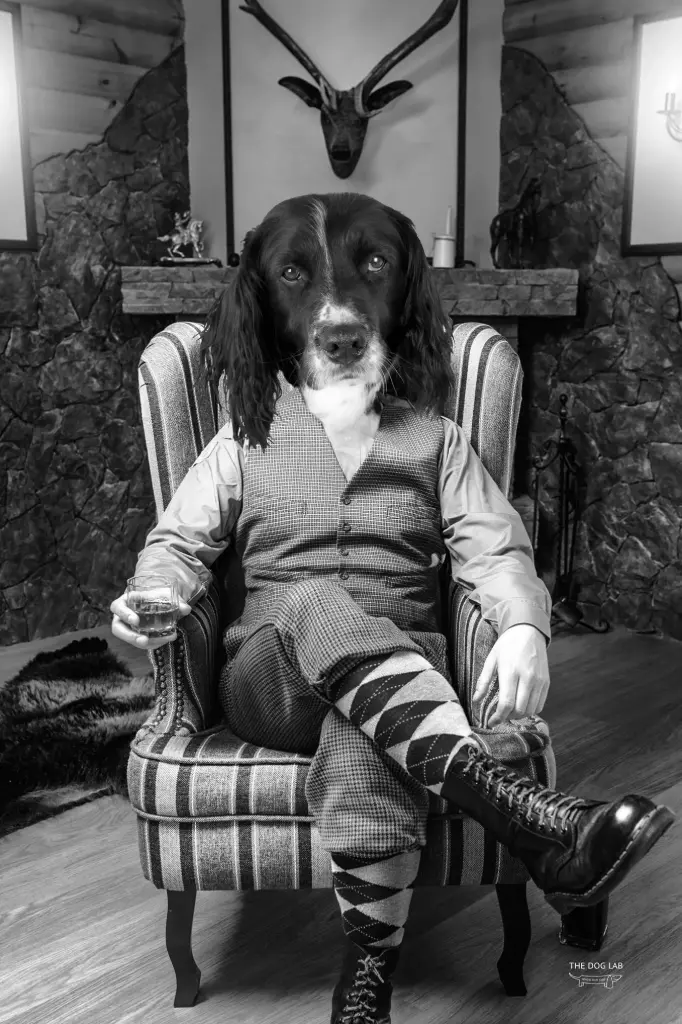 Portrait de chien personnalisé