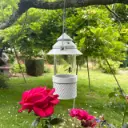 Asian Hornet Trap: Effective and Eco-Friendly Protection